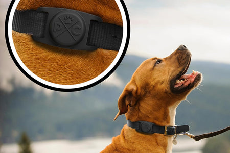 Airtag Dog Collar | Durable & Protective Dog Airtag Holder - Track Your Pet Using Apple Airtag Technology - Dog Collar Airtag Holder -For Dogs and Cats