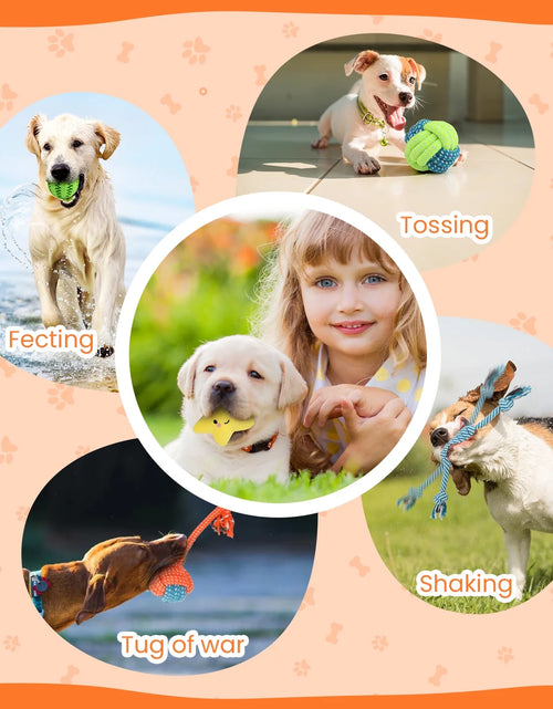 Load image into Gallery viewer, Juguetes Para Perros Pequeños, Paquete De 10 Juguetes Masticables Para Cachorros Para La Dentición Y El Entrenamiento Con Juguetes De Peluche Con Sonido, Pelota De Premio Y Juguetes De Cuerda Para Mantenerlos Ocupados
