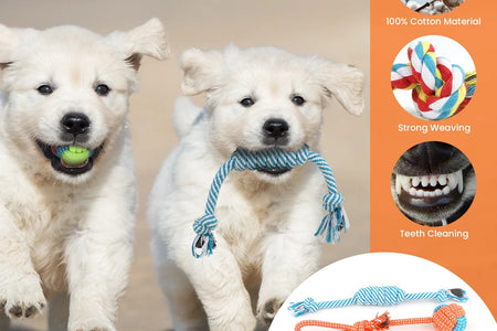 Juguetes Para Perros Pequeños, Paquete De 10 Juguetes Masticables Para Cachorros Para La Dentición Y El Entrenamiento Con Juguetes De Peluche Con Sonido, Pelota De Premio Y Juguetes De Cuerda Para Mantenerlos Ocupados