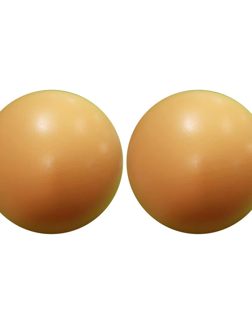 Load image into Gallery viewer, New 25Cm Yoga Ball Exercise Gymnastic Fitness Pilates Ball Balance Exercise Gym Fitness Yoga Core Ball Indoor Training Yoga Ball
