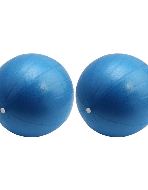 Load image into Gallery viewer, New 25Cm Yoga Ball Exercise Gymnastic Fitness Pilates Ball Balance Exercise Gym Fitness Yoga Core Ball Indoor Training Yoga Ball
