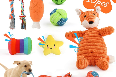Juguetes Para Perros Pequeños, Paquete De 10 Juguetes Masticables Para Cachorros Para La Dentición Y El Entrenamiento Con Juguetes De Peluche Con Sonido, Pelota De Premio Y Juguetes De Cuerda Para Mantenerlos Ocupados